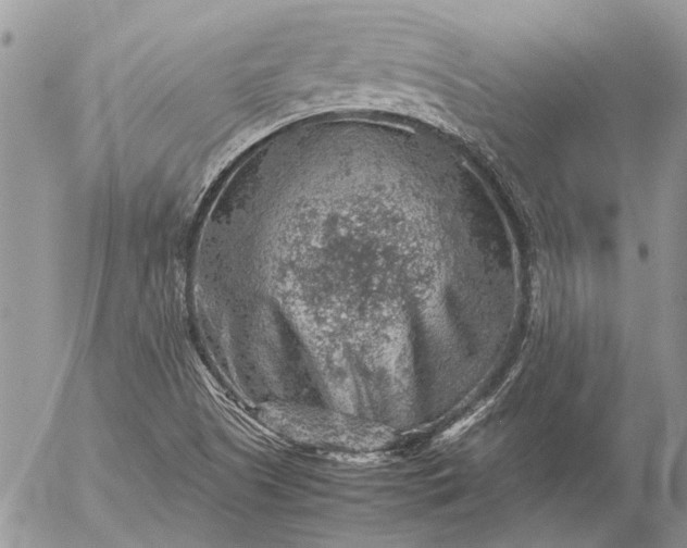 X0000057081505200509231610