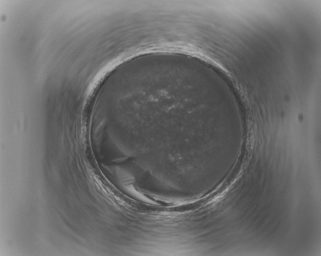 X0000057081506200509231610