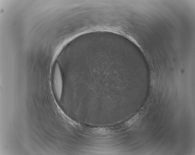 X0000057081508200509231610