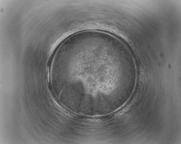 X0000057081509200509231610