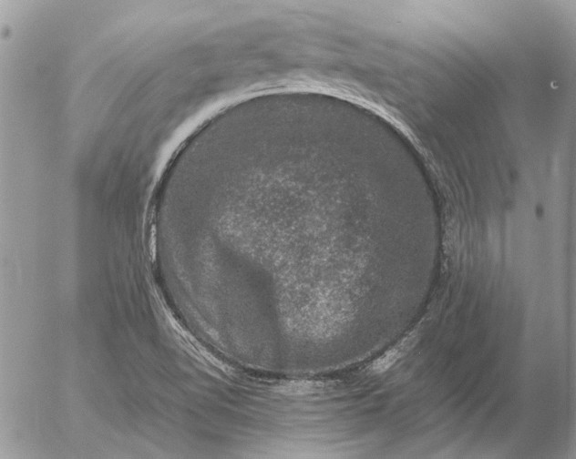 X0000057081510200509231610