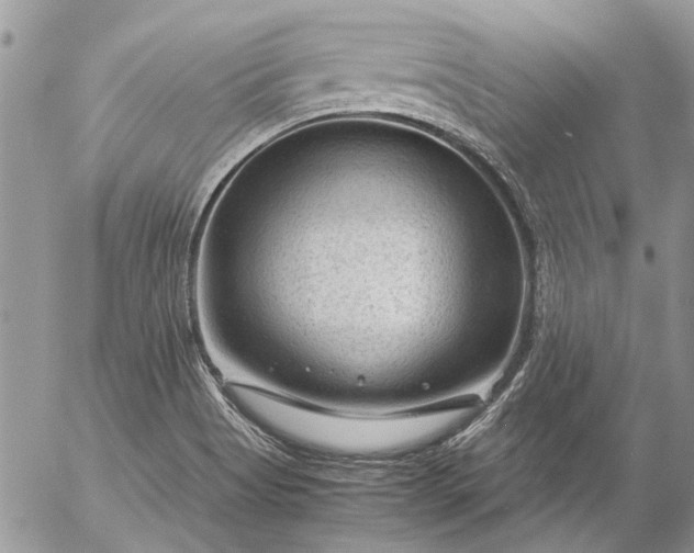 X0000057081513200509231610