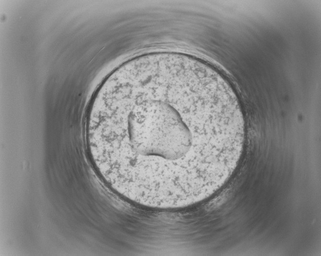 X0000057081514200509231610