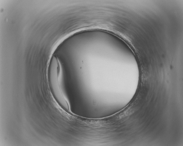 X0000057081516200509231610