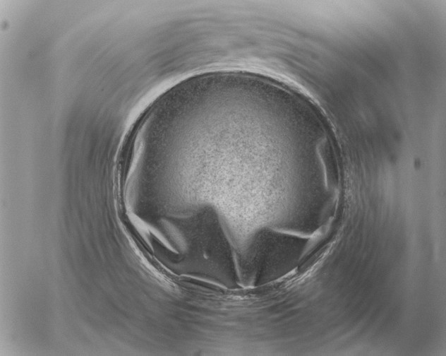 X0000057081517200509231610