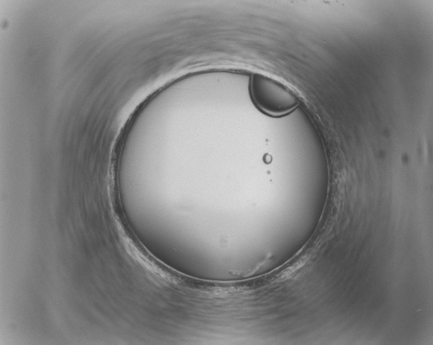 X0000057081518200509231610