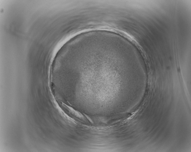 X0000057081520200509231610