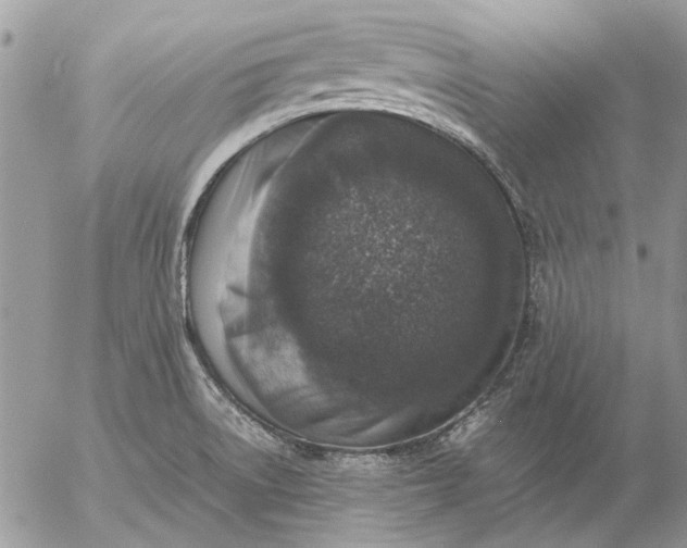 X0000057081522200509231610