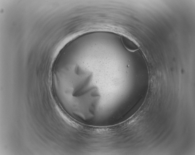 X0000057081523200509231610