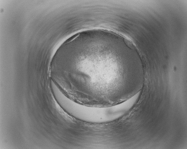 X0000057081524200509231610