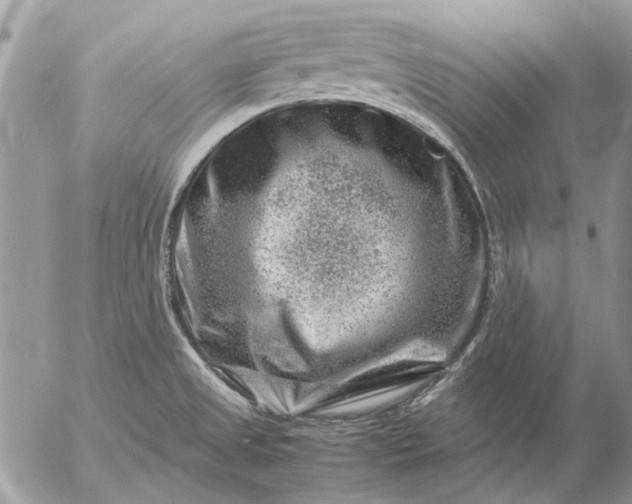 X0000057081525200509231611