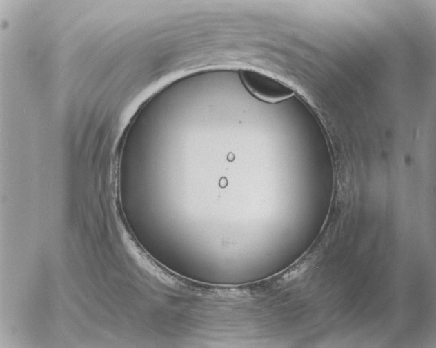 X0000057081526200509231611