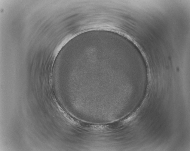 X0000057081529200509231611