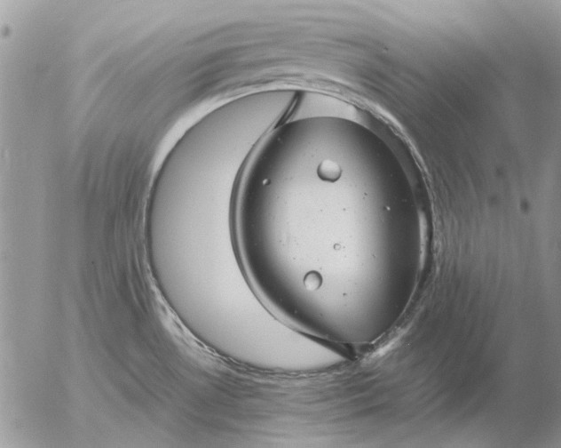 X0000057081530200509231611