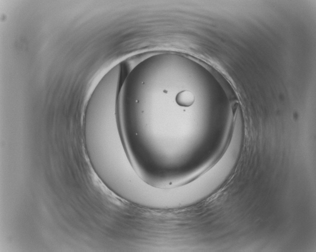 X0000057081532200509231611