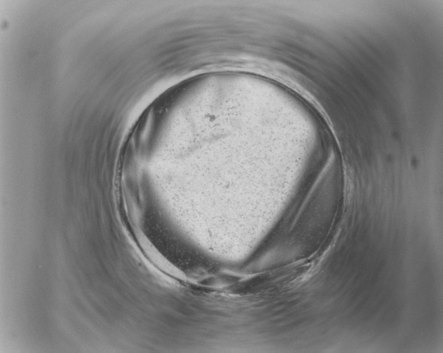 X0000057081533200509231611