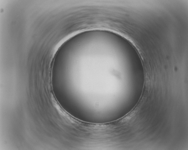 X0000057081534200509231611