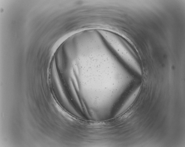 X0000057081535200509231611