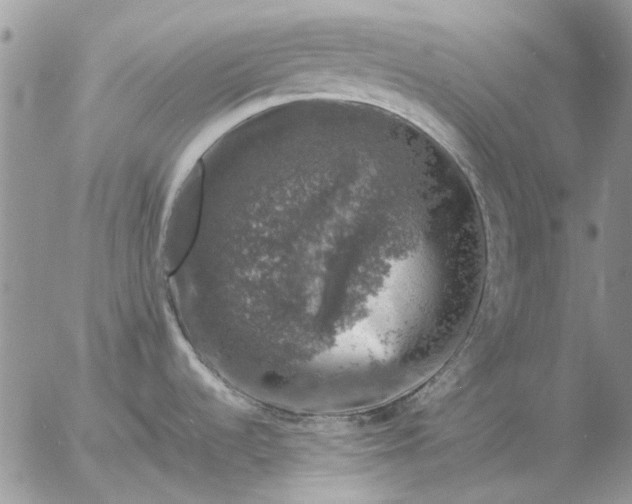 X0000057081536200509231611