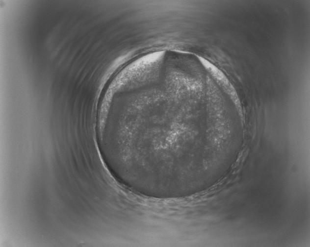 X0000057080003200510010212