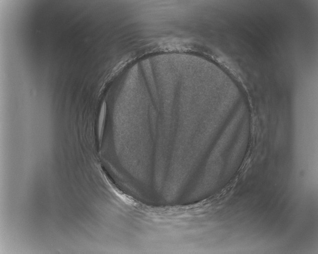 X0000057080009200510010211