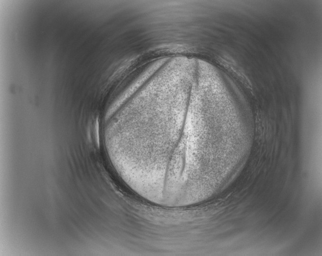 X0000057080014200510010211