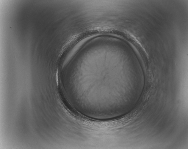 X0000057080019200510010211