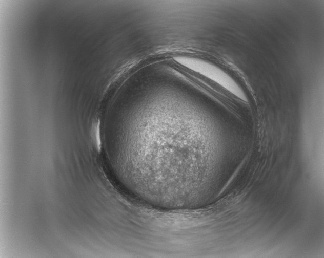 X0000057080020200510010211