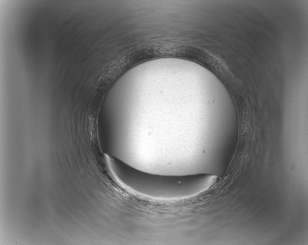 X0000057080025200510010211