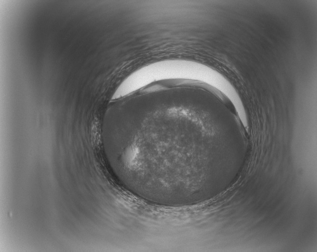 X0000057080029200510010211