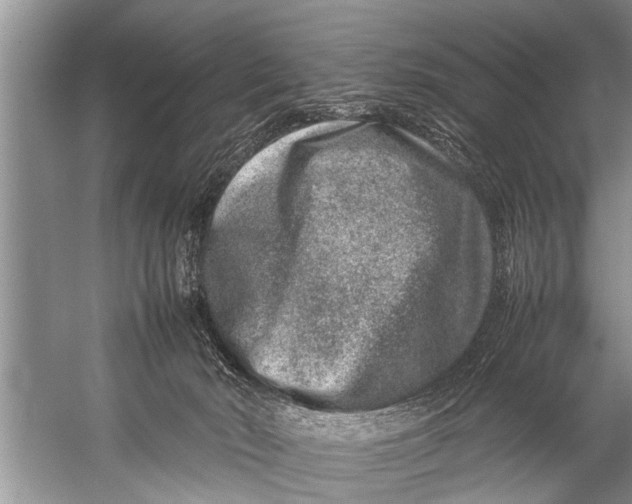 X0000057080030200510010211