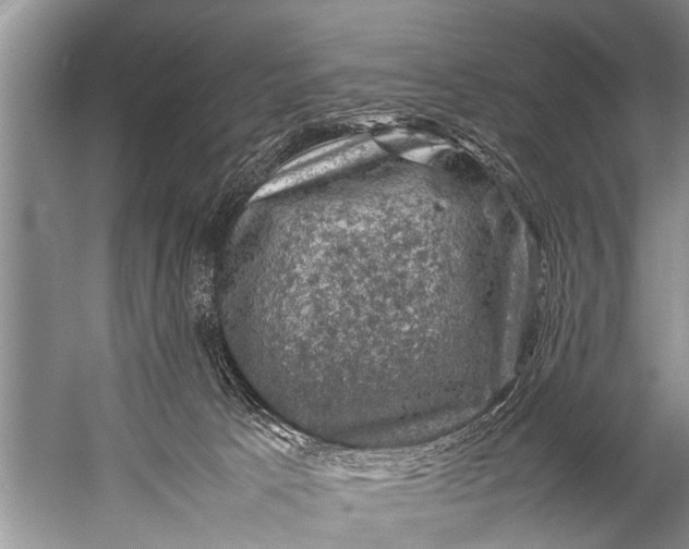 X0000057080033200510010211