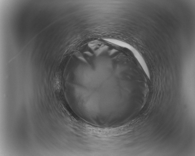 X0000057080039200510010211