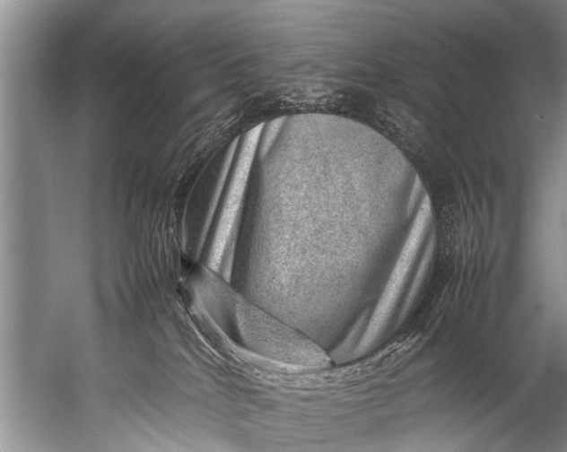 X0000057080040200510010211