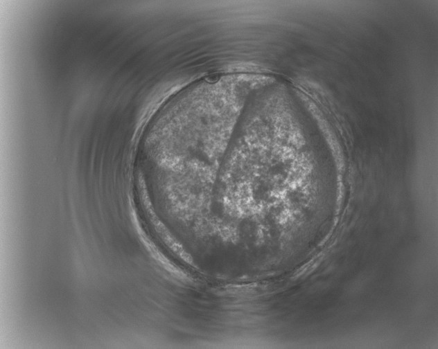 X0000057080049200510010210