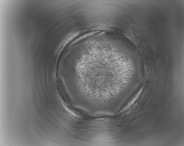 X0000057080050200510010210