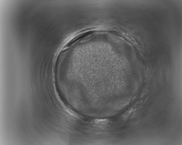 X0000057080055200510010210