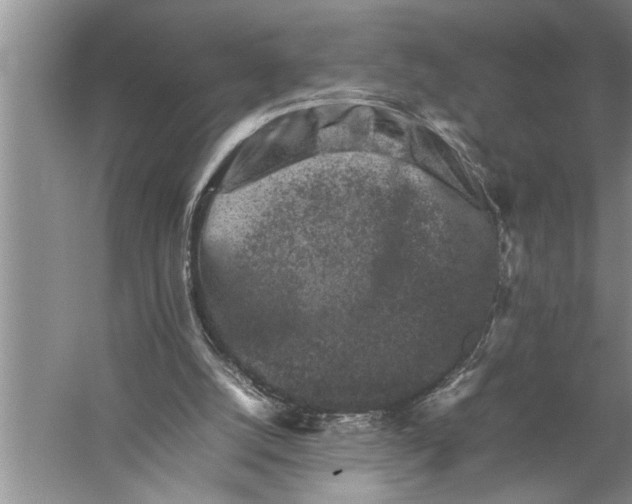 X0000057080056200510010210