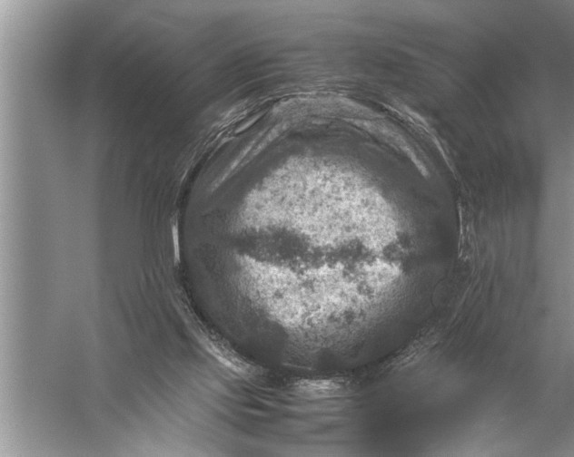 X0000057080061200510010210