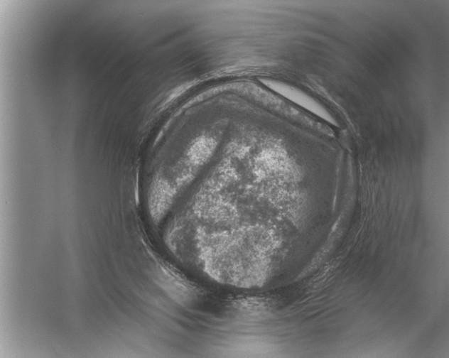 X0000057080062200510010210