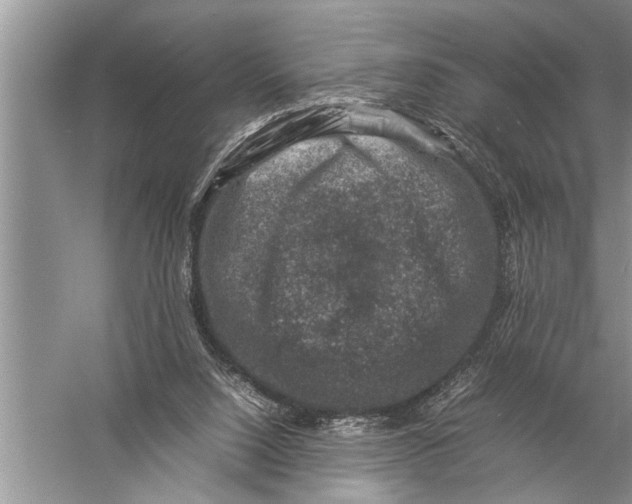 X0000057080064200510010210