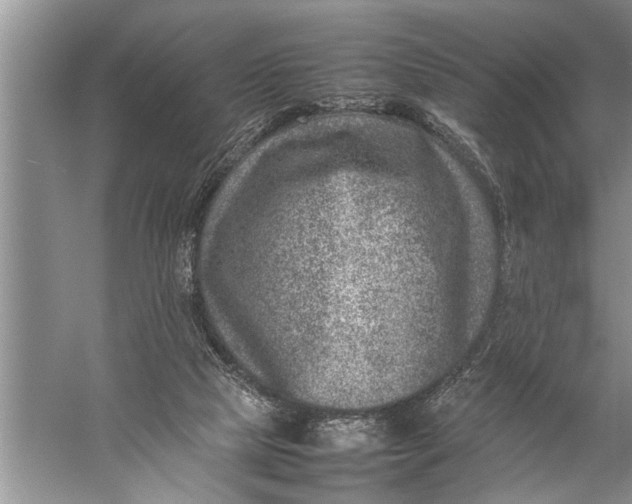 X0000057080065200510010210