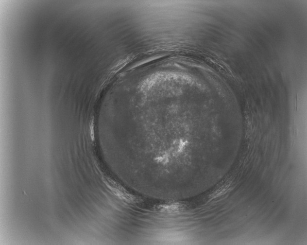 X0000057080068200510010210