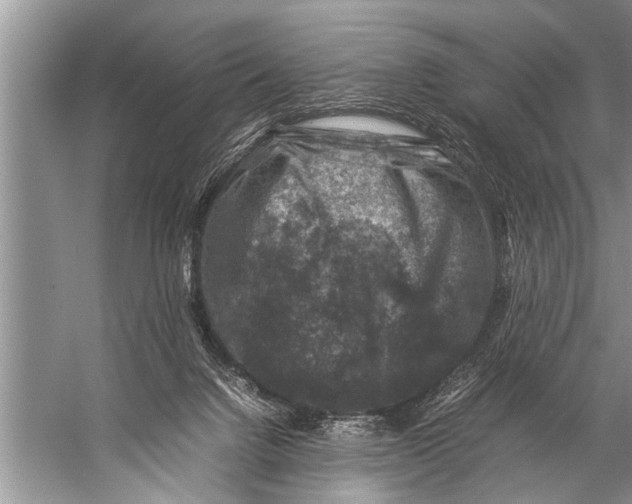 X0000057080072200510010210