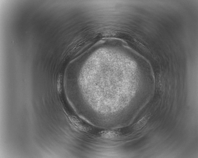 X0000057080074200510010210