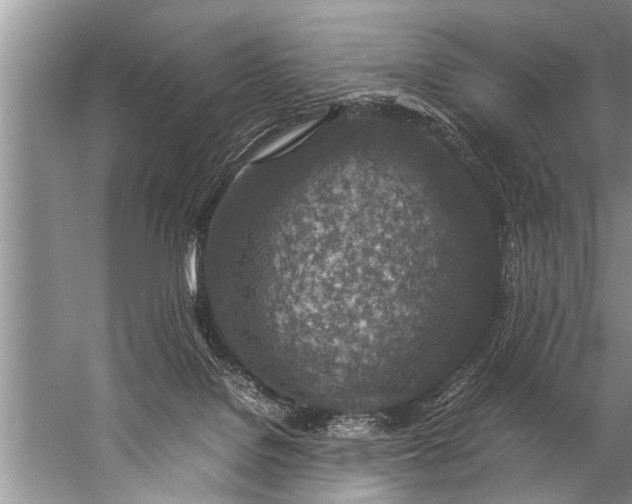 X0000057080076200510010210