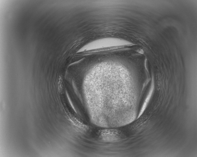 X0000057080077200510010210