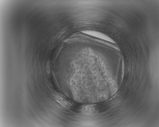 X0000057080078200510010210