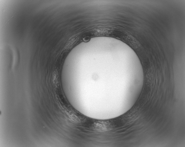 X0000057080079200510010210