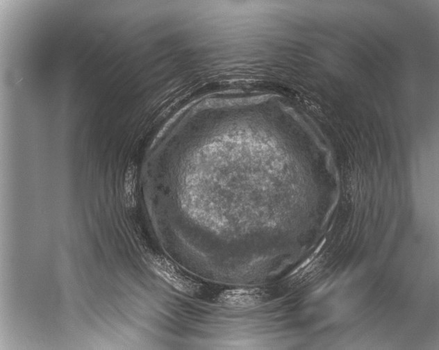 X0000057080082200510010211